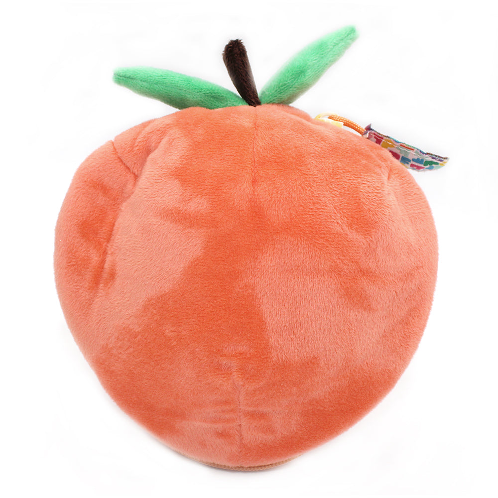 Corvet the Turtle/Peach - Flipetz