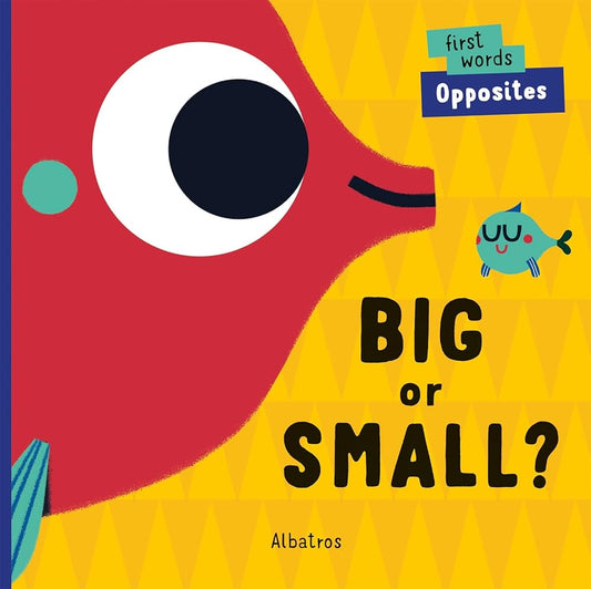 Big or Small? (First Words, 1)