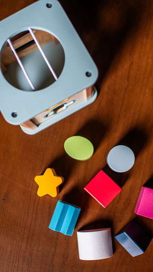 Shape Sorter Toy for Toddlers | Educational Shape & Color Learning Activity