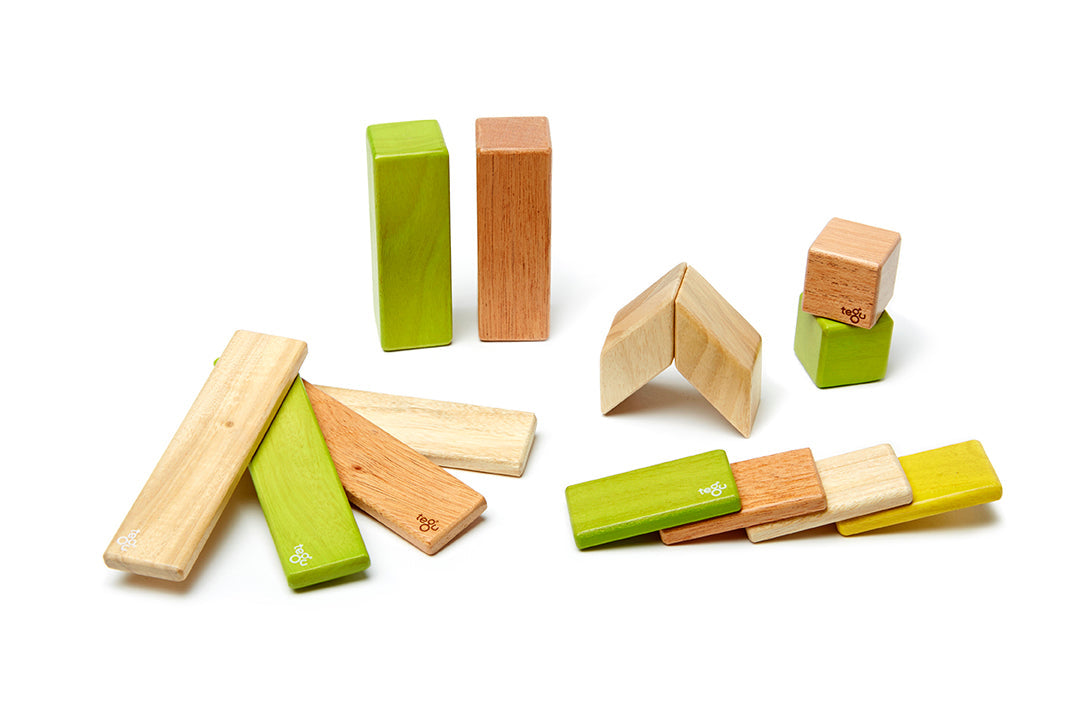 14-Piece Set <br>Magnetic Wooden Blocks <br>Tegu Classics